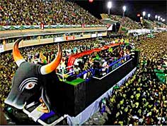 Boi Manaus